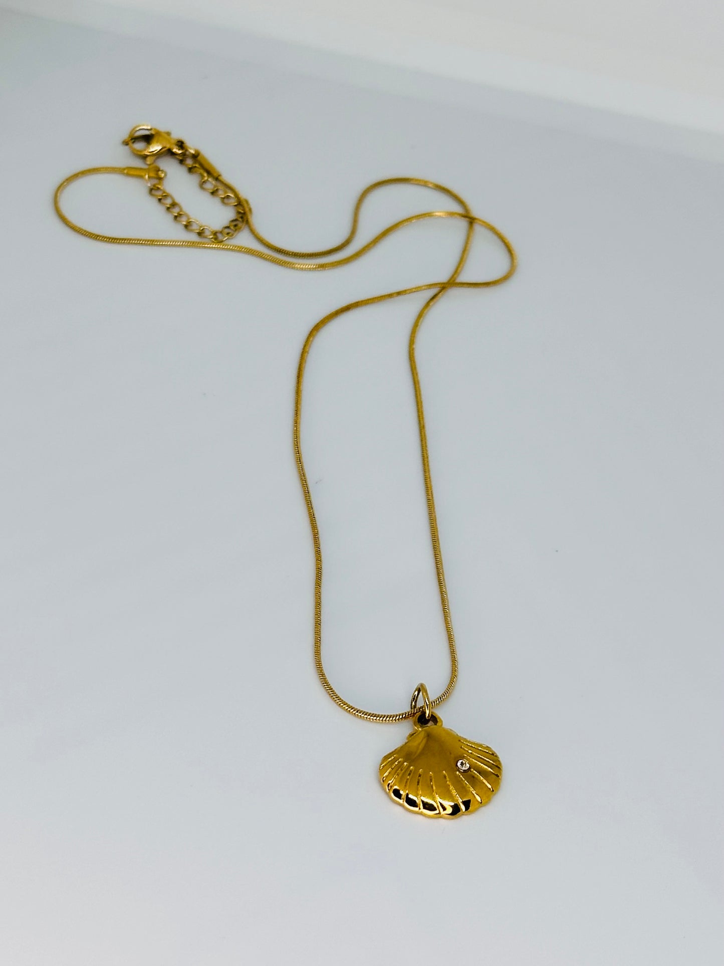 Cockle Shell Necklace