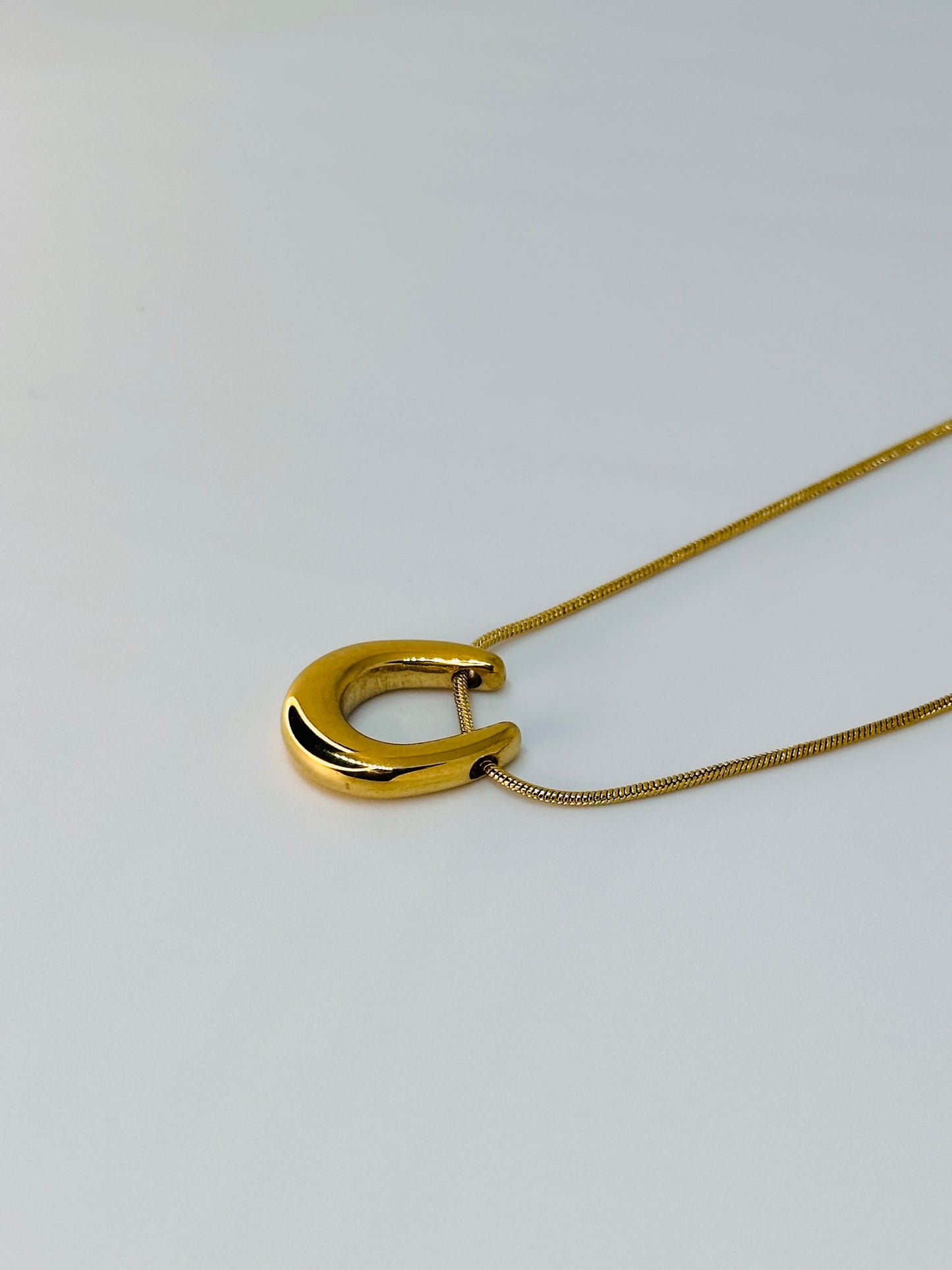 Horseshoe Necklace