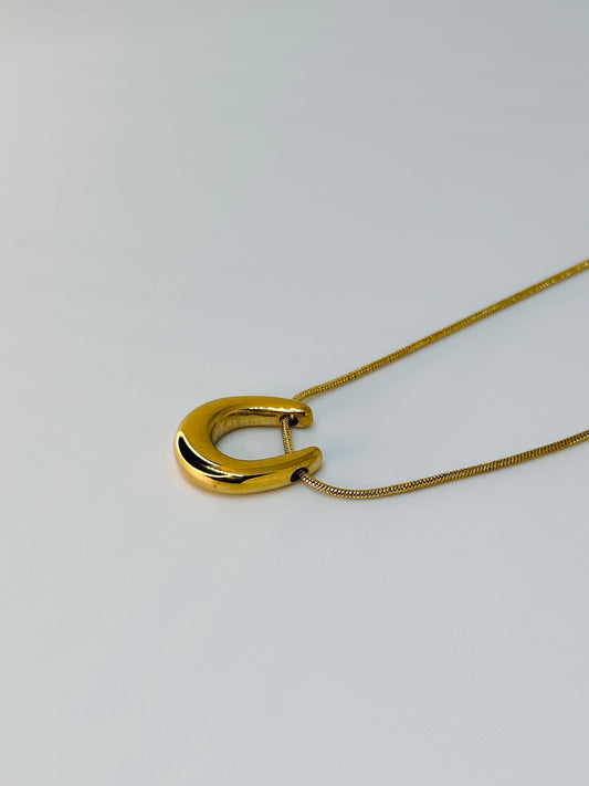Horseshoe Necklace