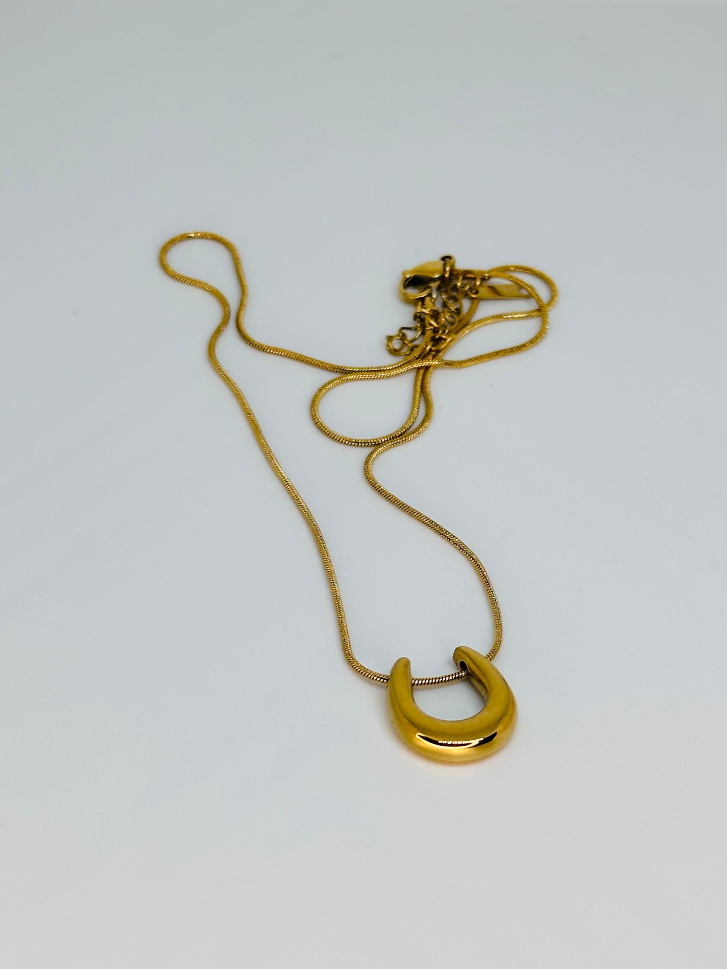 Horseshoe Necklace