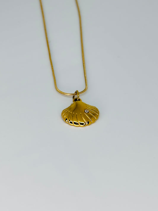 Cockle Shell Necklace