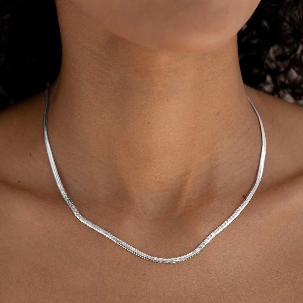 Silver Snake Necklace